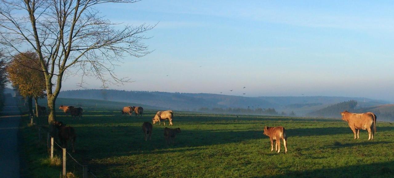 Ferienhaus Winterberg Exteriör bild